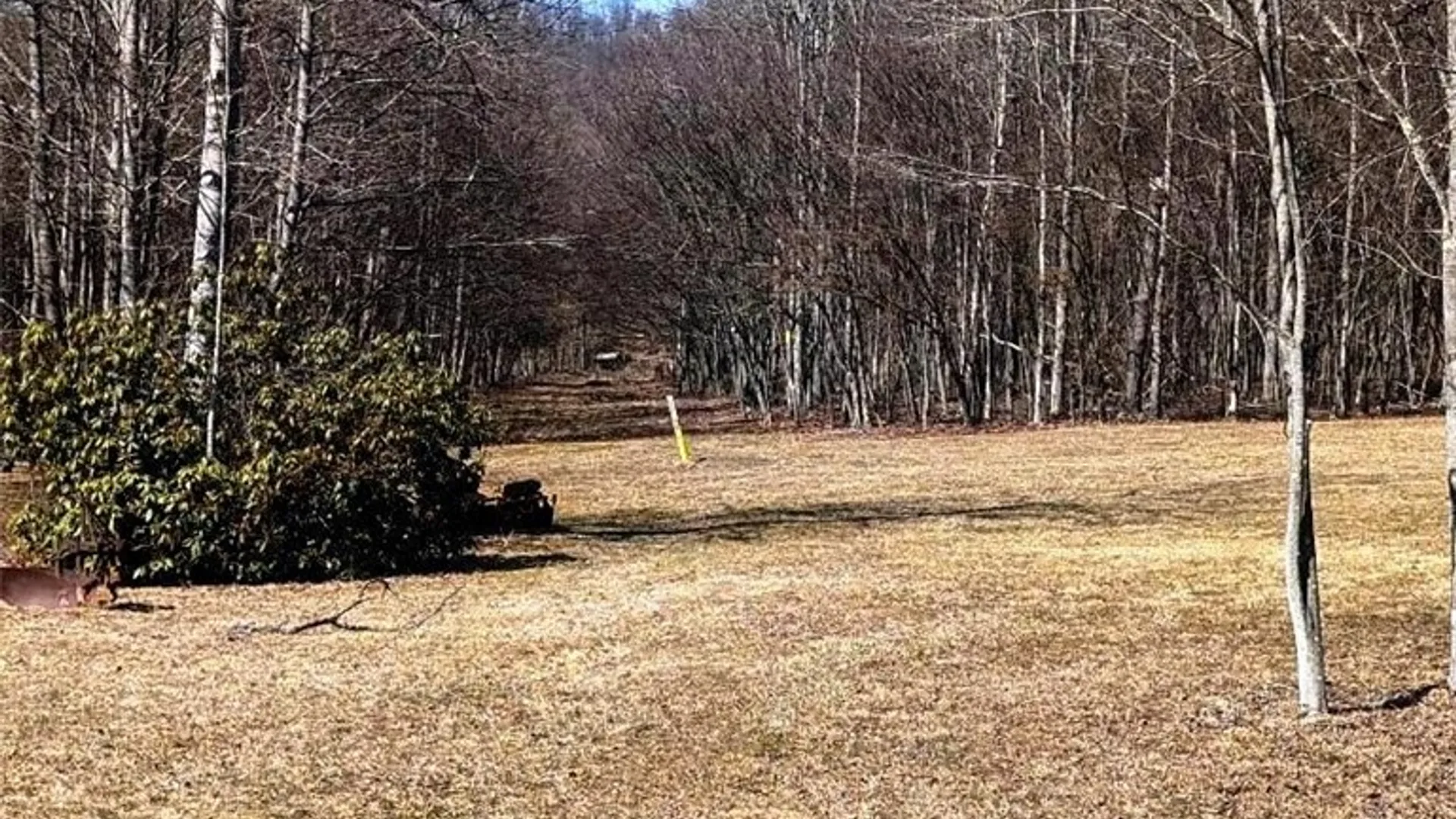 Property at 23599 Route 6, Port Allegany Boro, PA 16743 33