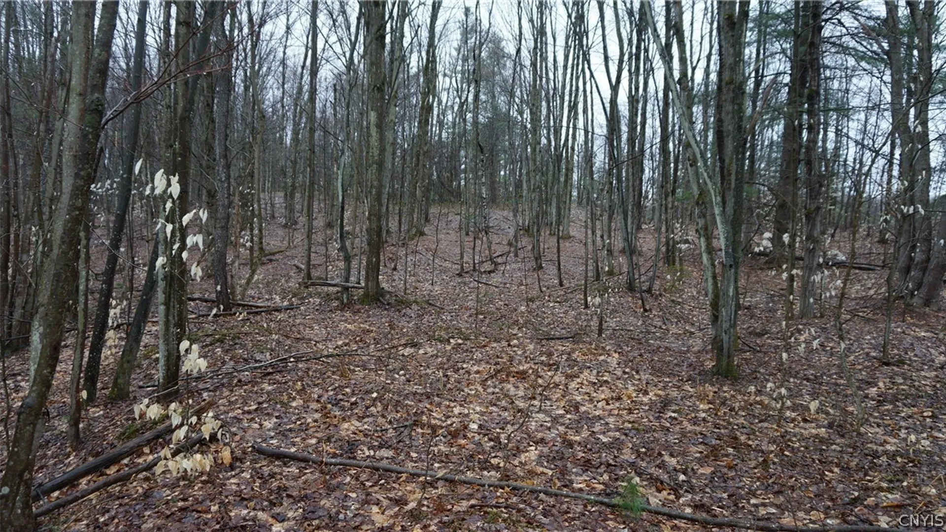 Property at Nys Rte 3, Wilna, NY 13619 18