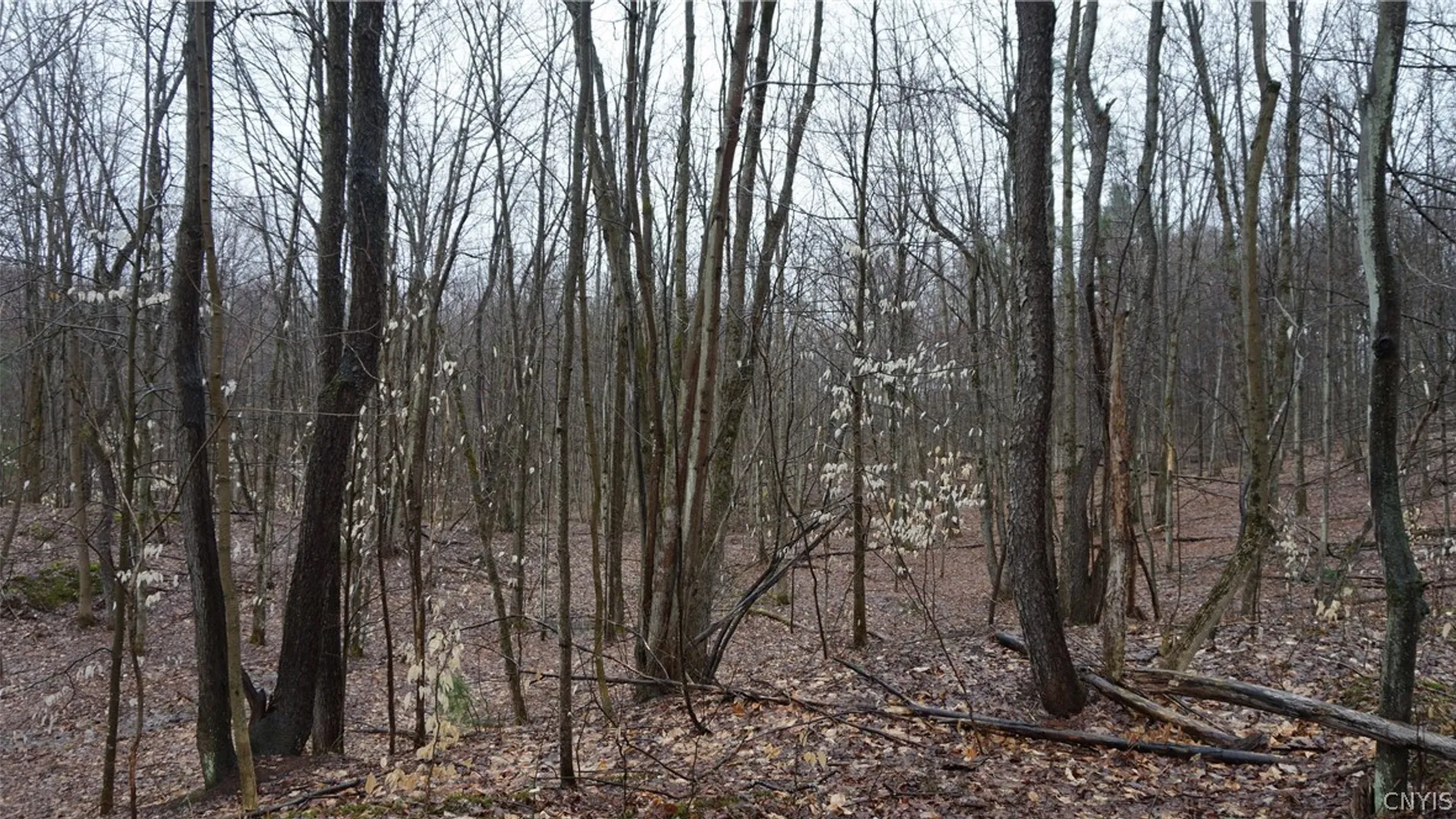 Property at Nys Rte 3, Wilna, NY 13619 19