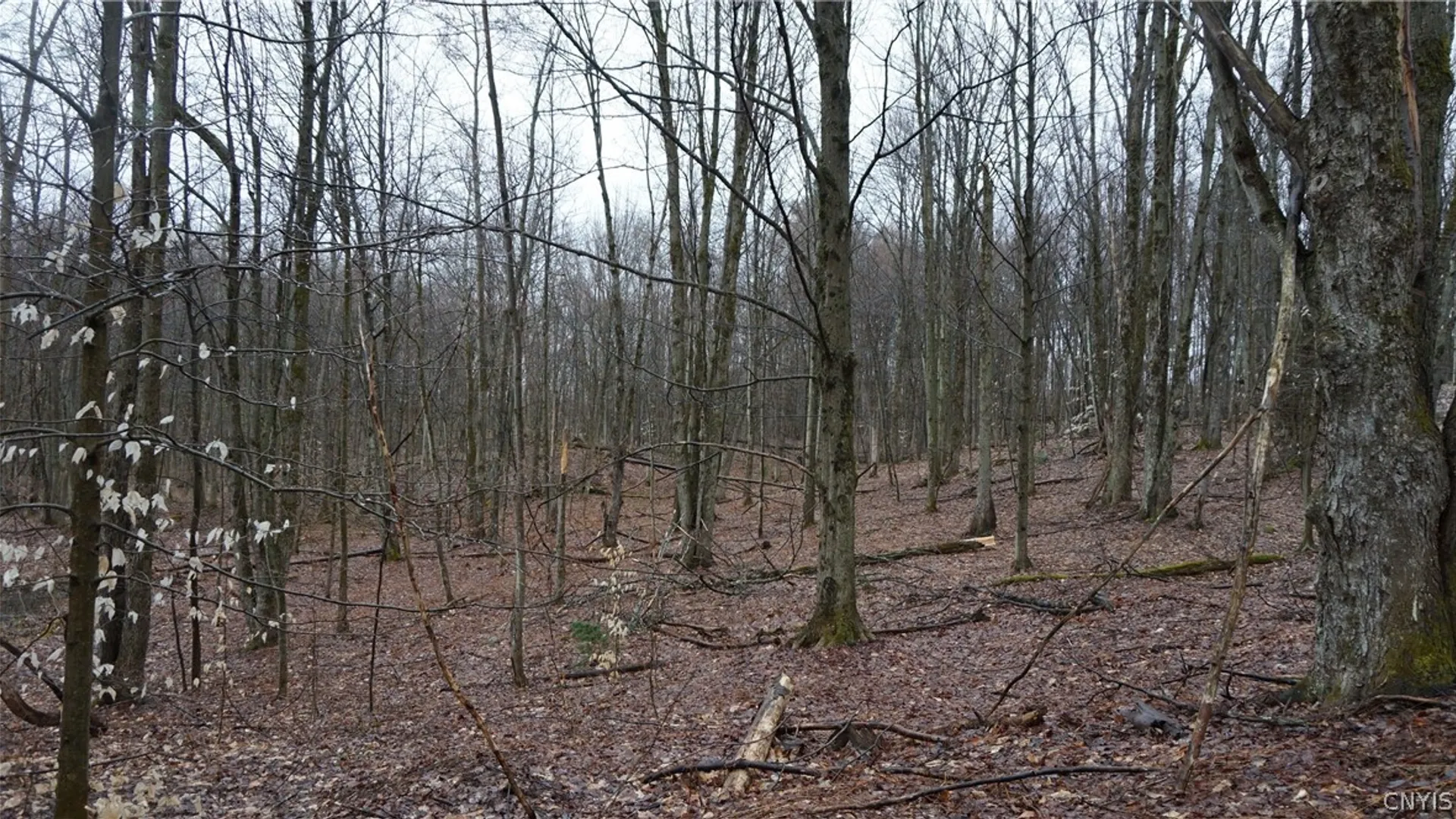 Property at Nys Rte 3, Wilna, NY 13619 20