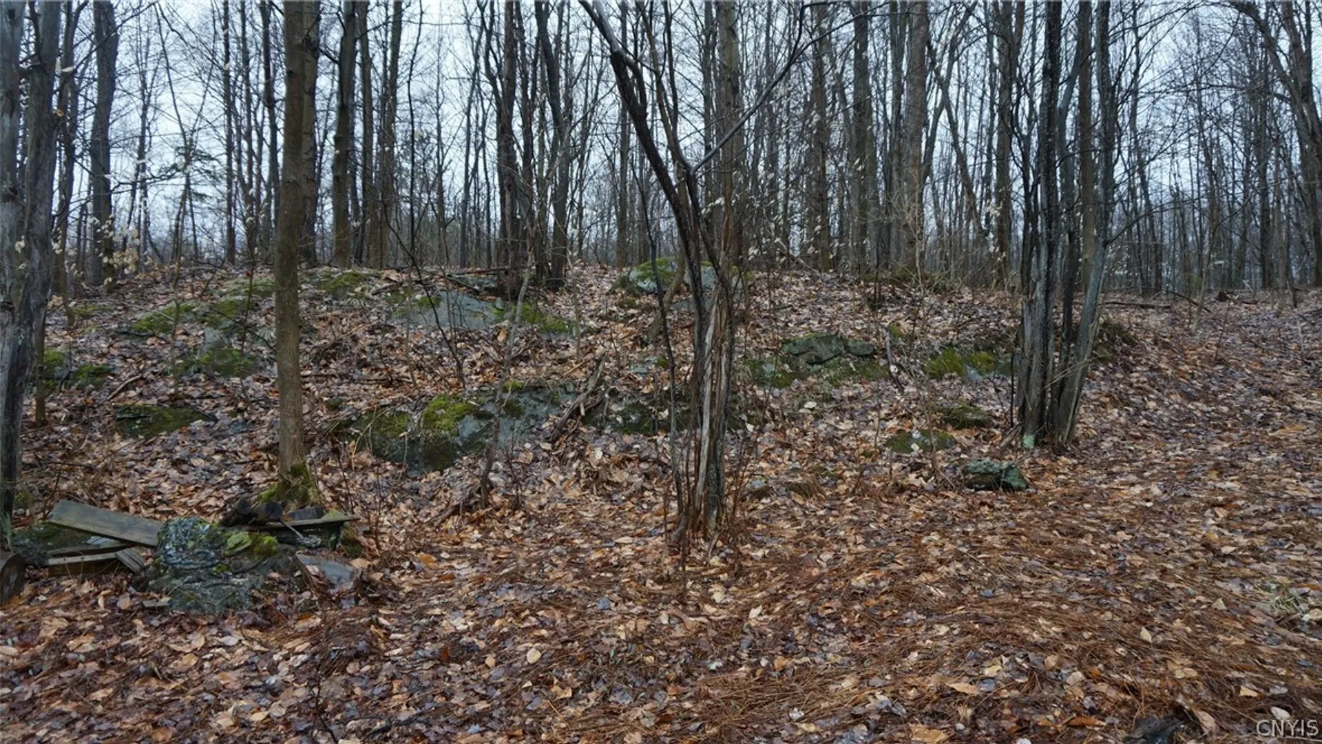 Property at Nys Rte 3, Wilna, NY 13619 21