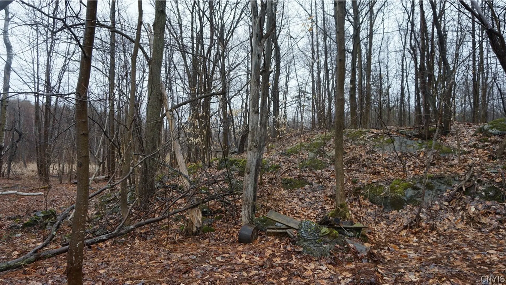 Property at Nys Rte 3, Wilna, NY 13619 22