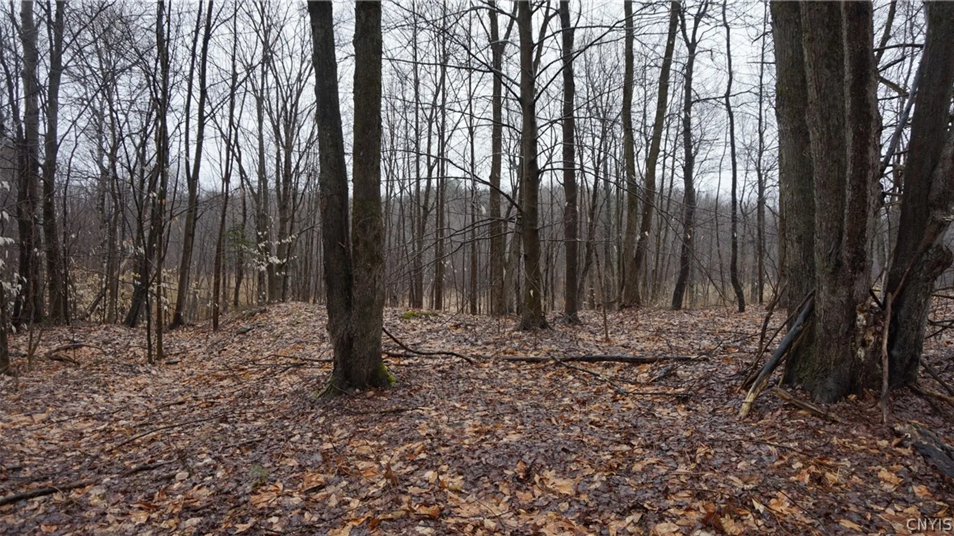 Property at Nys Rte 3, Wilna, NY 13619 15