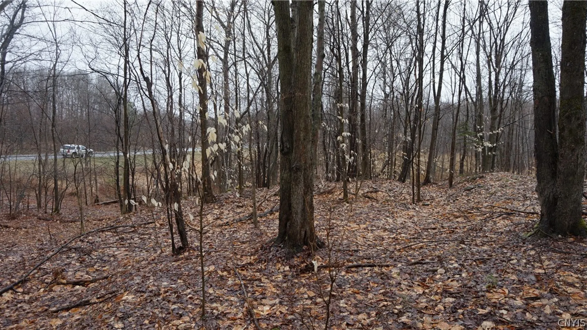 Property at Nys Rte 3, Wilna, NY 13619 16