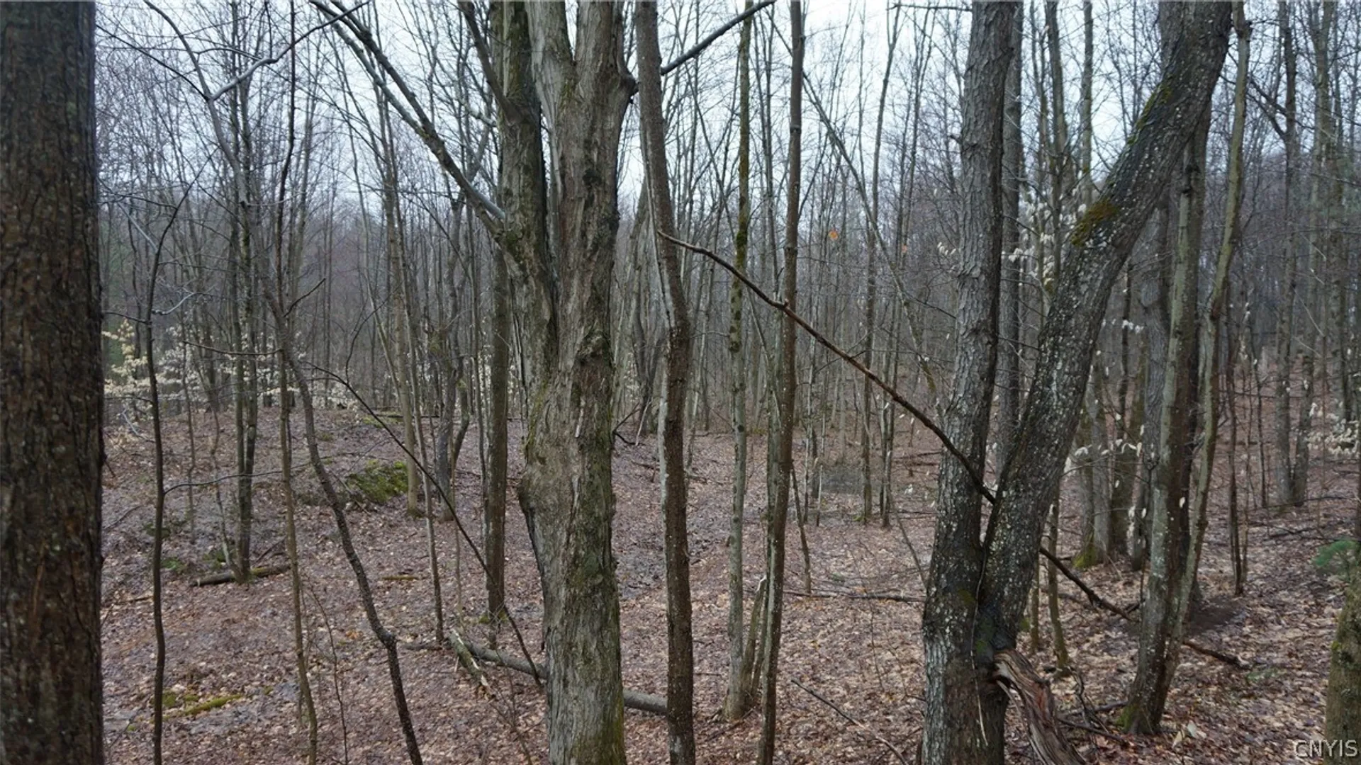 Property at Nys Rte 3, Wilna, NY 13619 17