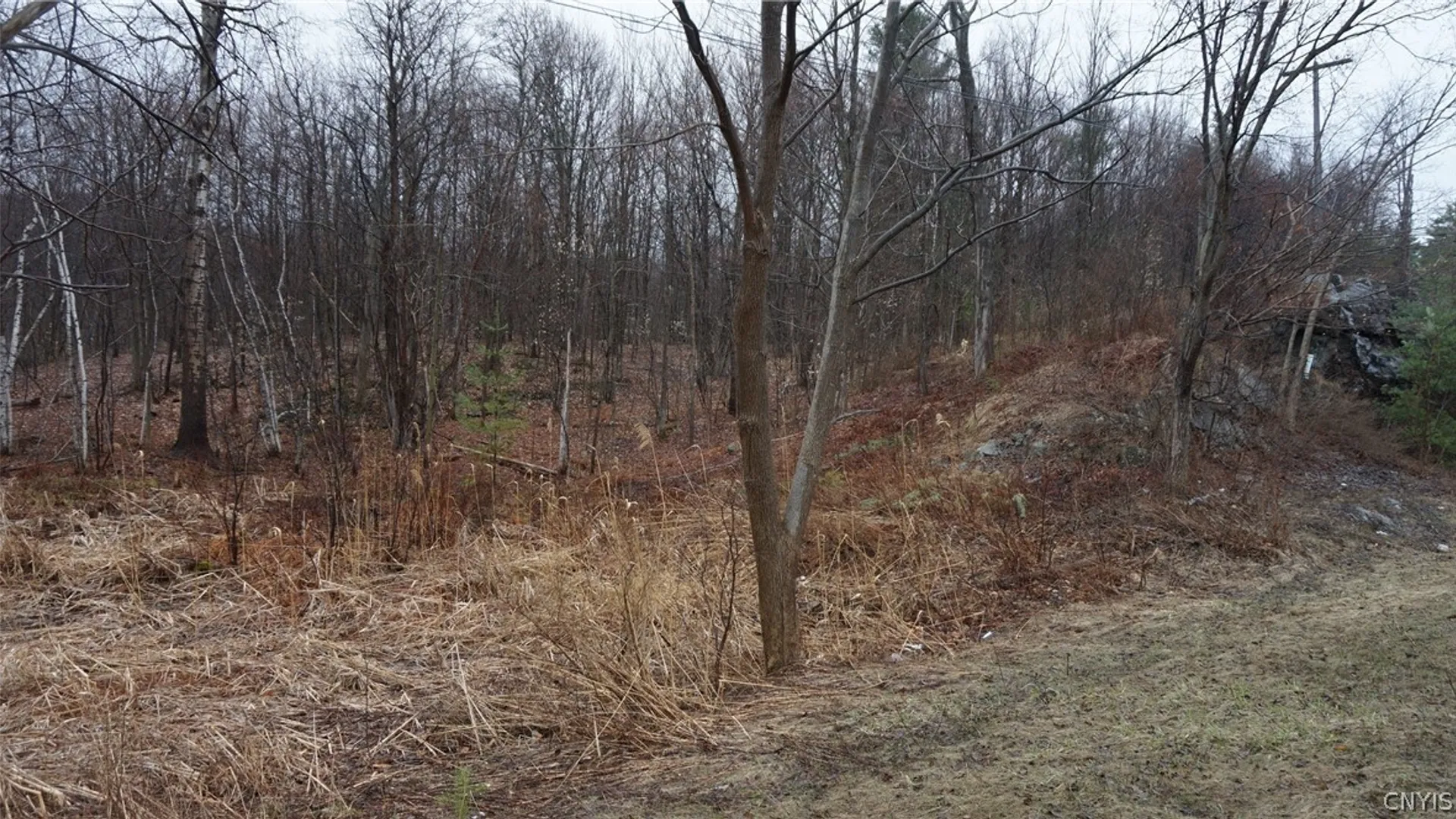 Property at Nys Rte 3, Wilna, NY 13619 11