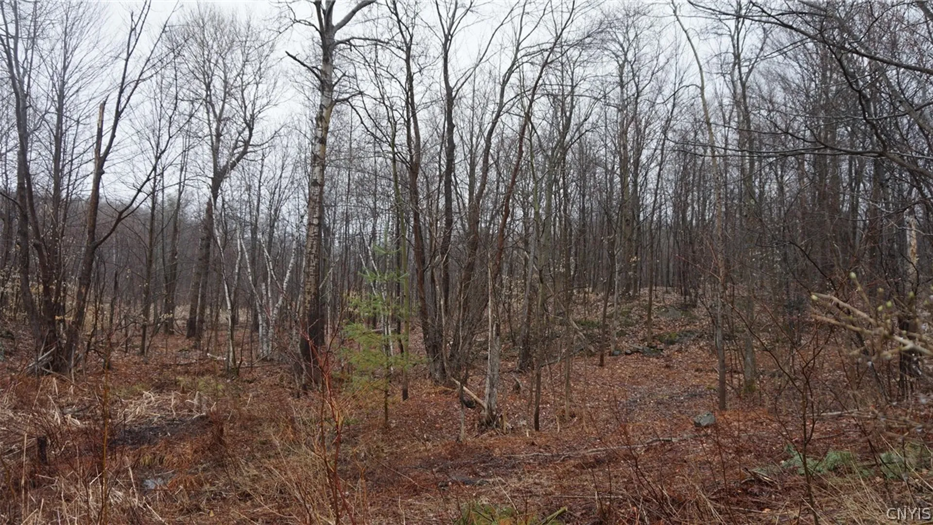 Property at Nys Rte 3, Wilna, NY 13619 12
