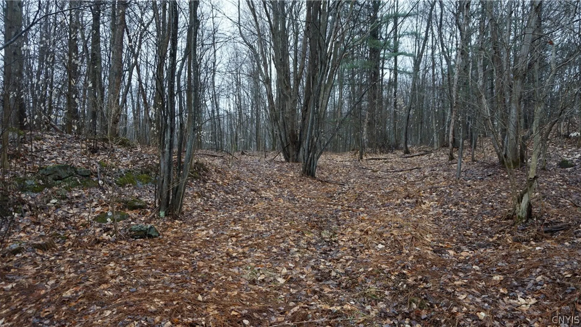 Property at Nys Rte 3, Wilna, NY 13619 13