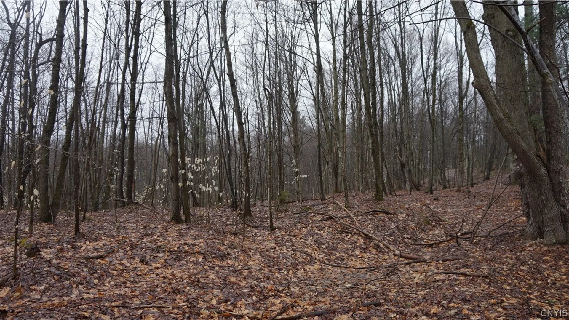 Property at Nys Rte 3, Wilna, NY 13619 14