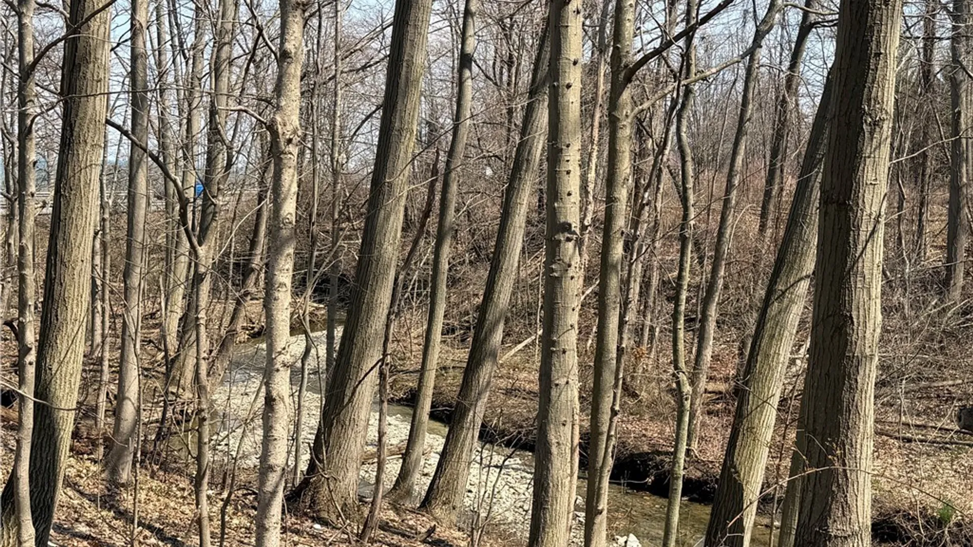 Property at 1985 Route 5, Sheridan, NY 14136 5