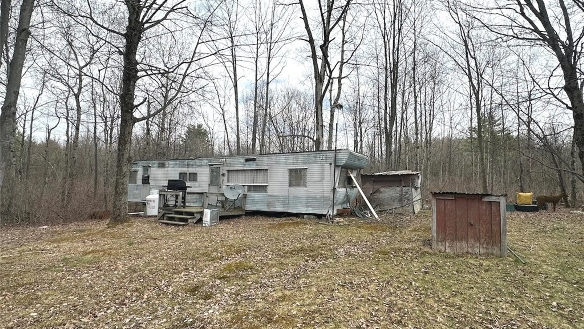 Property at 9134 W Hill Road, Allen, NY 14735 4