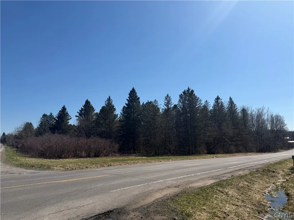 Property at 00 Fort Leazier Road, Mexico, NY 13114