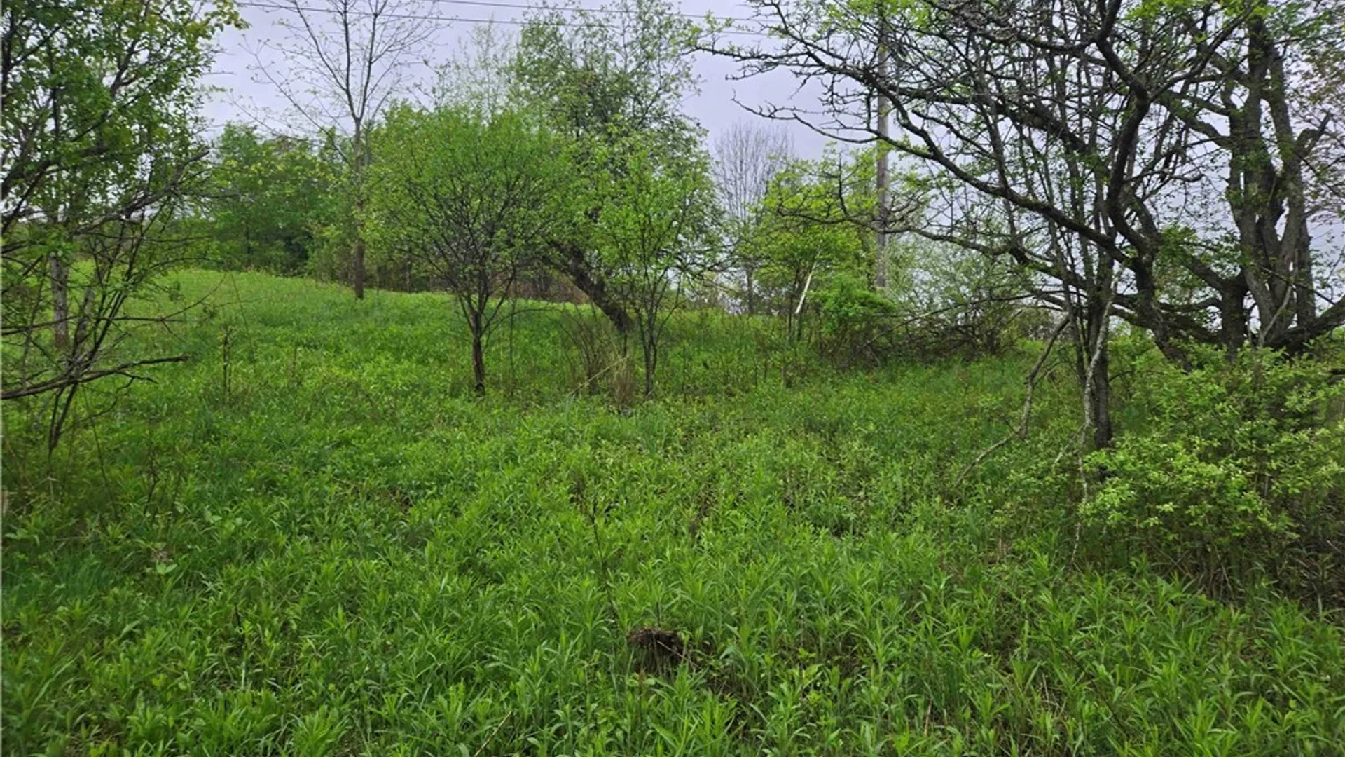 Property at Mead Hollow Road, Bolivar, NY 14754 7