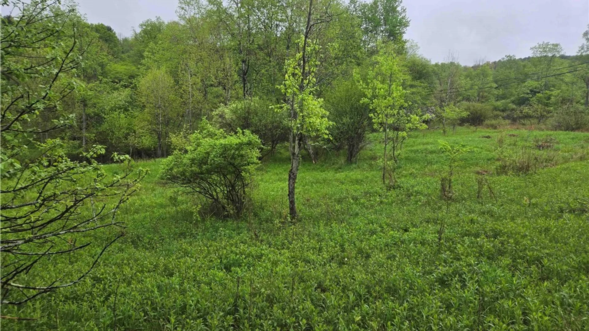 Property at Mead Hollow Road, Bolivar, NY 14754 8