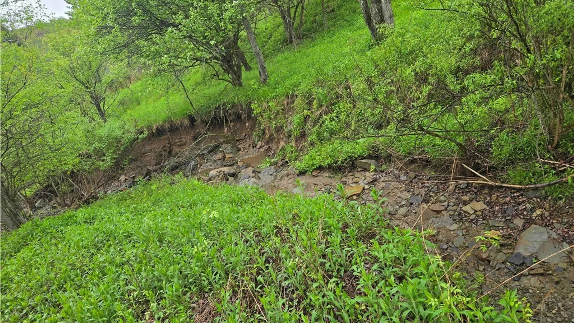 Property at Mead Hollow Road, Bolivar, NY 14754 9