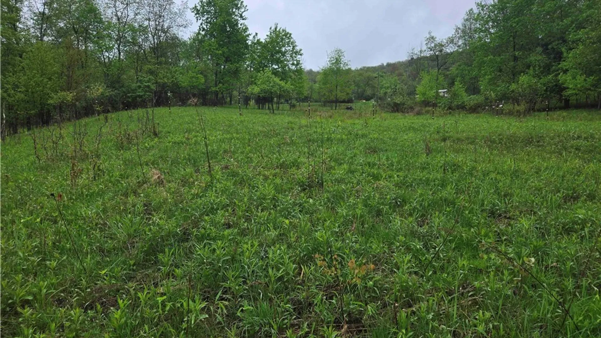 Property at Mead Hollow Road, Bolivar, NY 14754 12