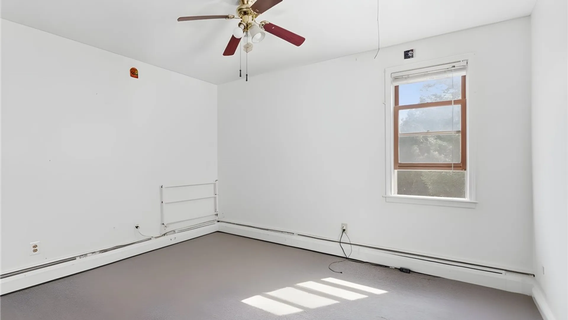 Property at 419 N Albany Street, Ithaca City, NY 14850 17
