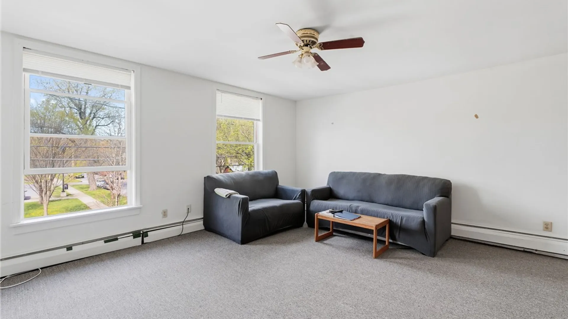 Property at 419 N Albany Street, Ithaca City, NY 14850 18
