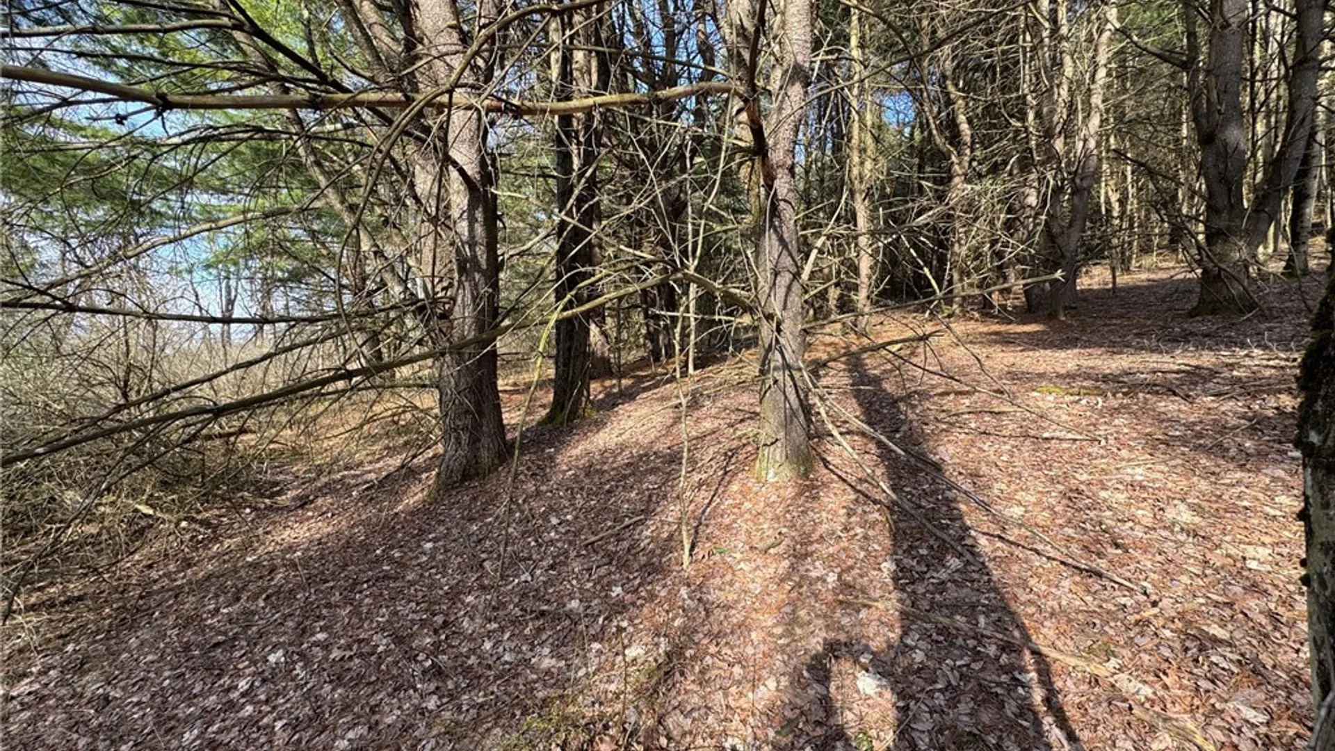 Property at Lot #6.1 County Highway 20, Edmeston, NY 13335 20