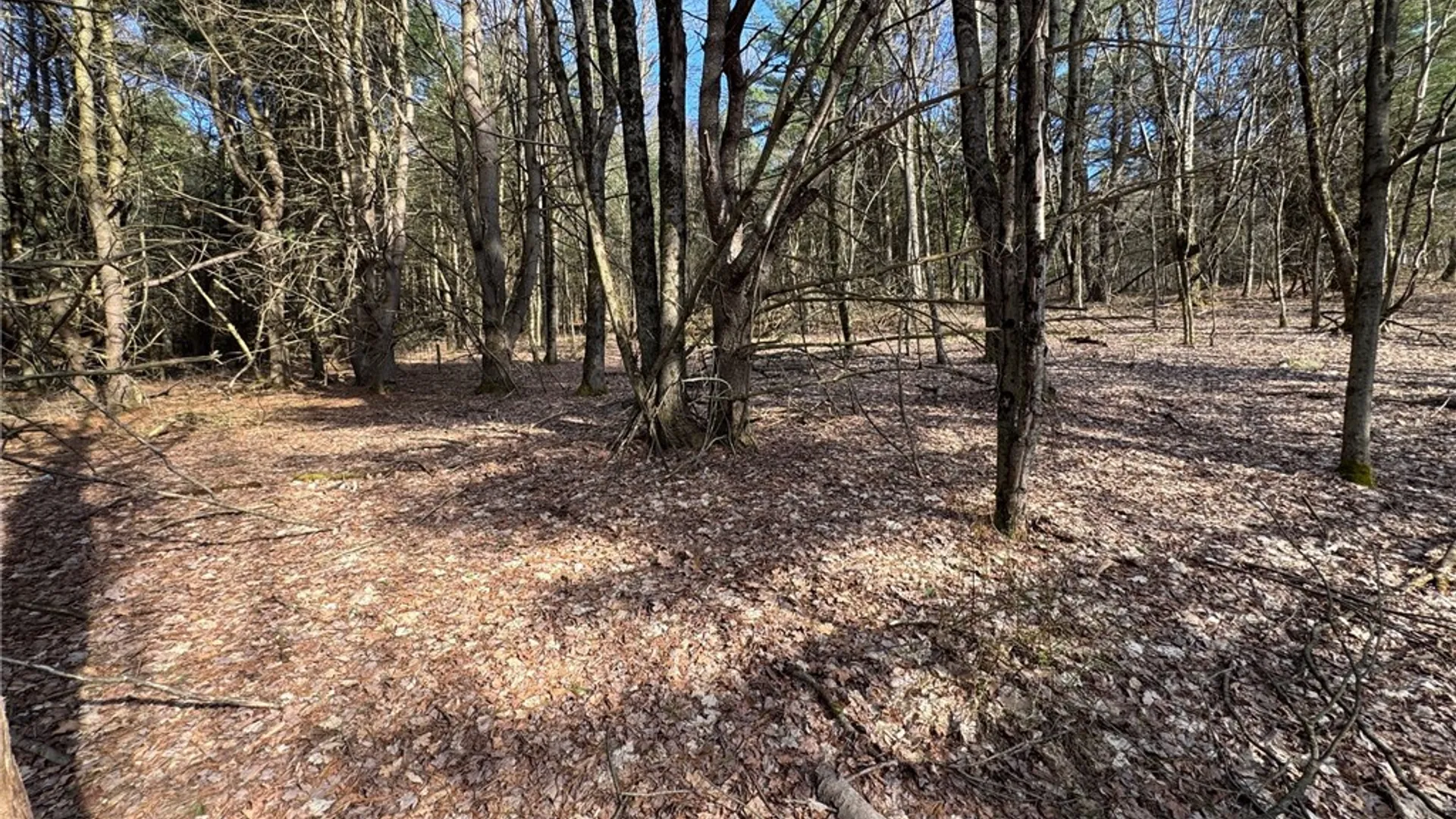 Property at Lot #6.1 County Highway 20, Edmeston, NY 13335 21