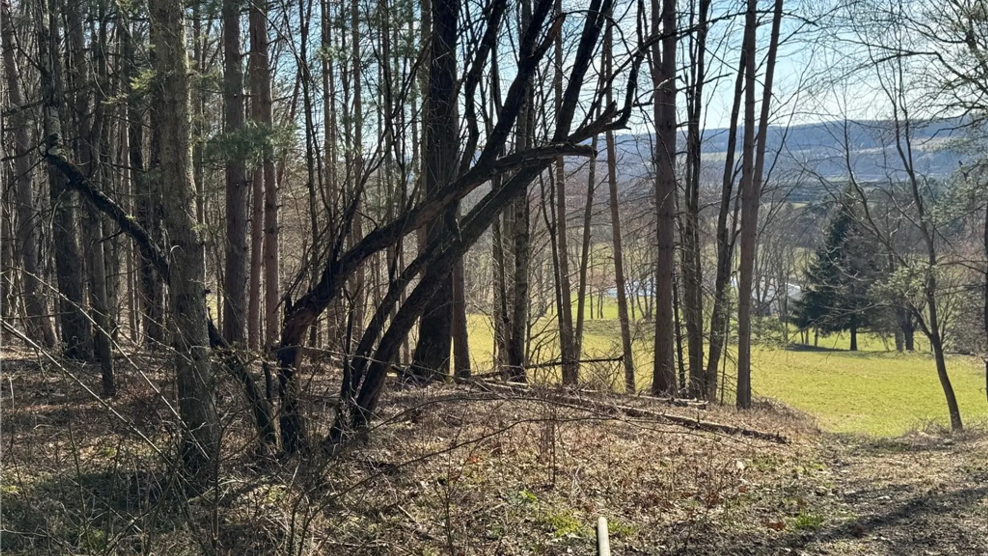 Property at Lot #6.1 County Highway 20, Edmeston, NY 13335 24
