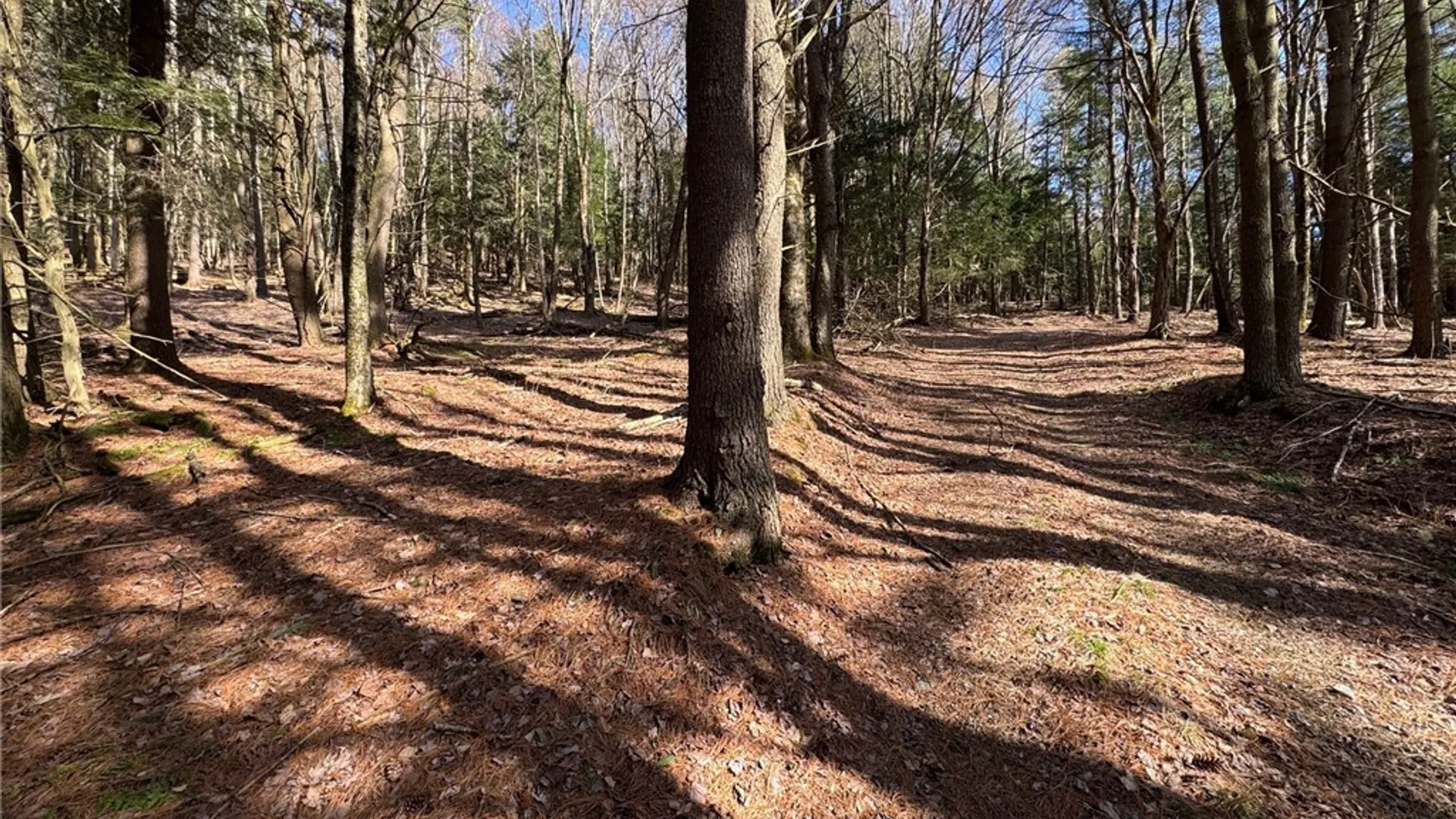 Property at Lot #6.1 County Highway 20, Edmeston, NY 13335 29