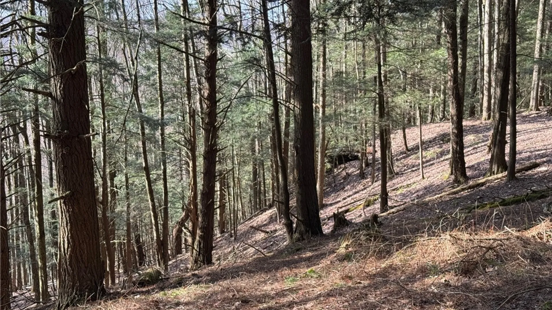 Property at Lot #6.1 County Highway 20, Edmeston, NY 13335 36