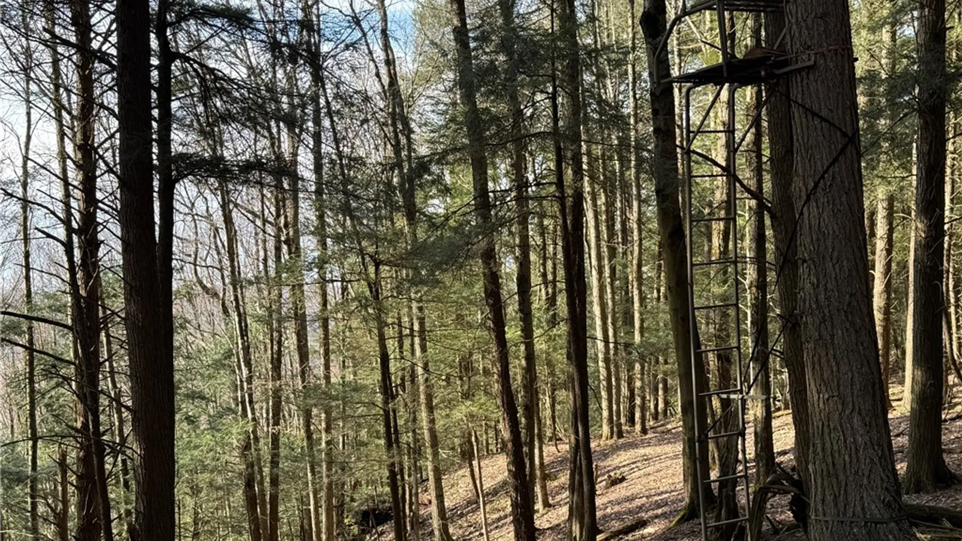 Property at Lot #6.1 County Highway 20, Edmeston, NY 13335 37