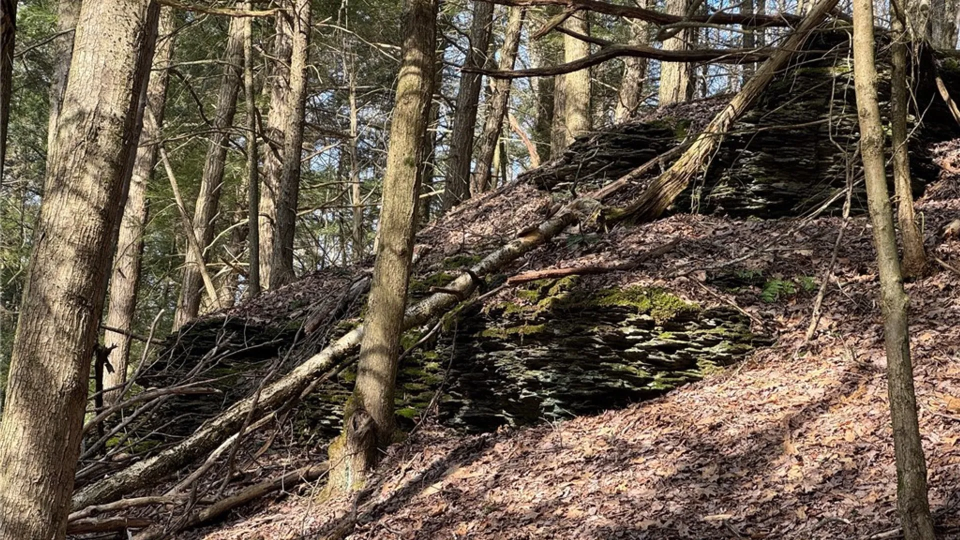 Property at Lot #6.1 County Highway 20, Edmeston, NY 13335 39