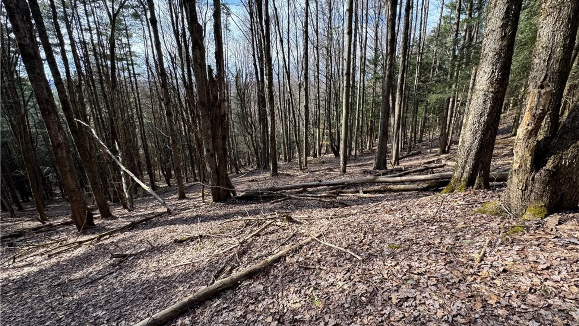 Property at Lot #6.1 County Highway 20, Edmeston, NY 13335 40