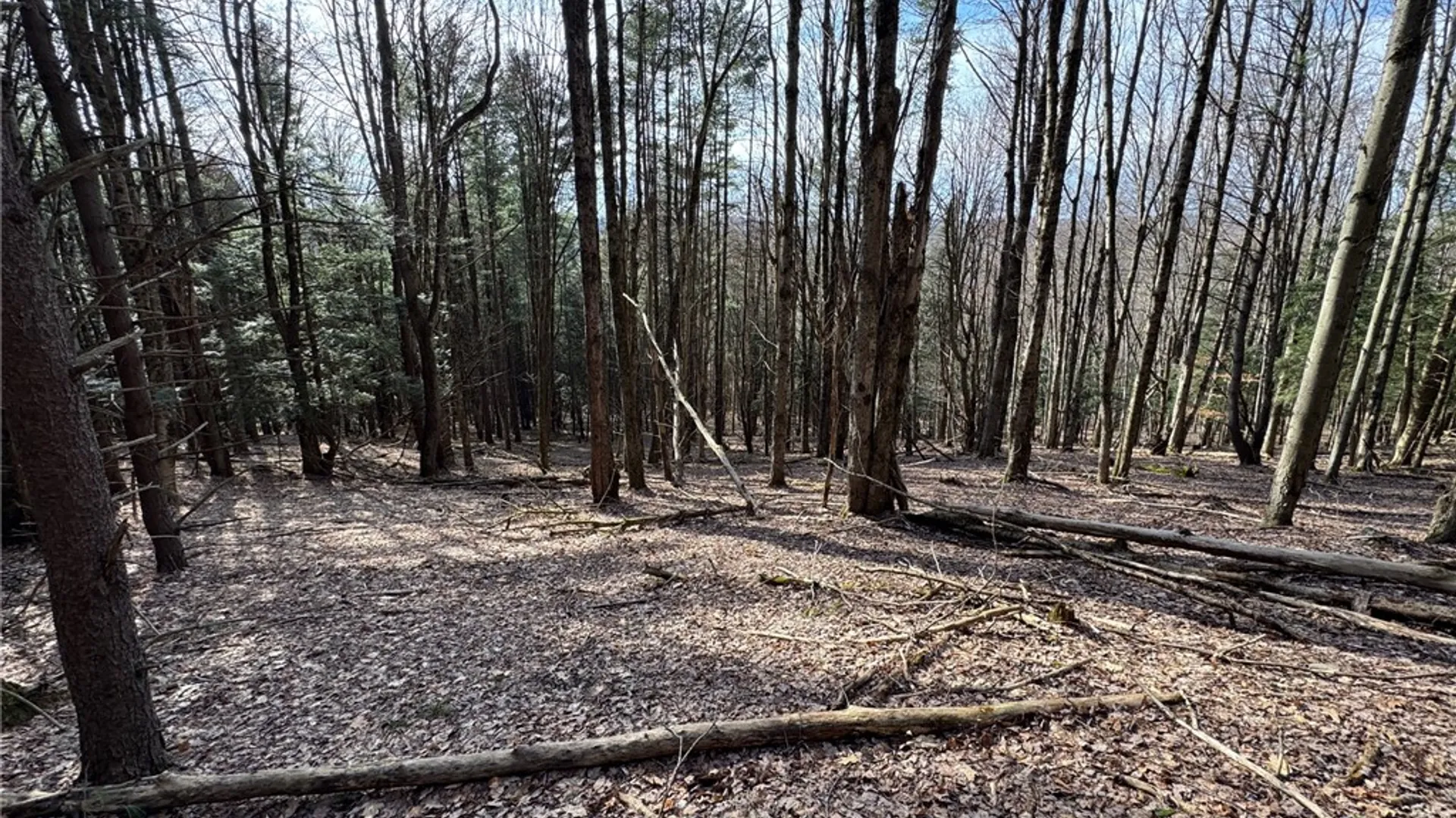 Property at Lot #6.1 County Highway 20, Edmeston, NY 13335 41