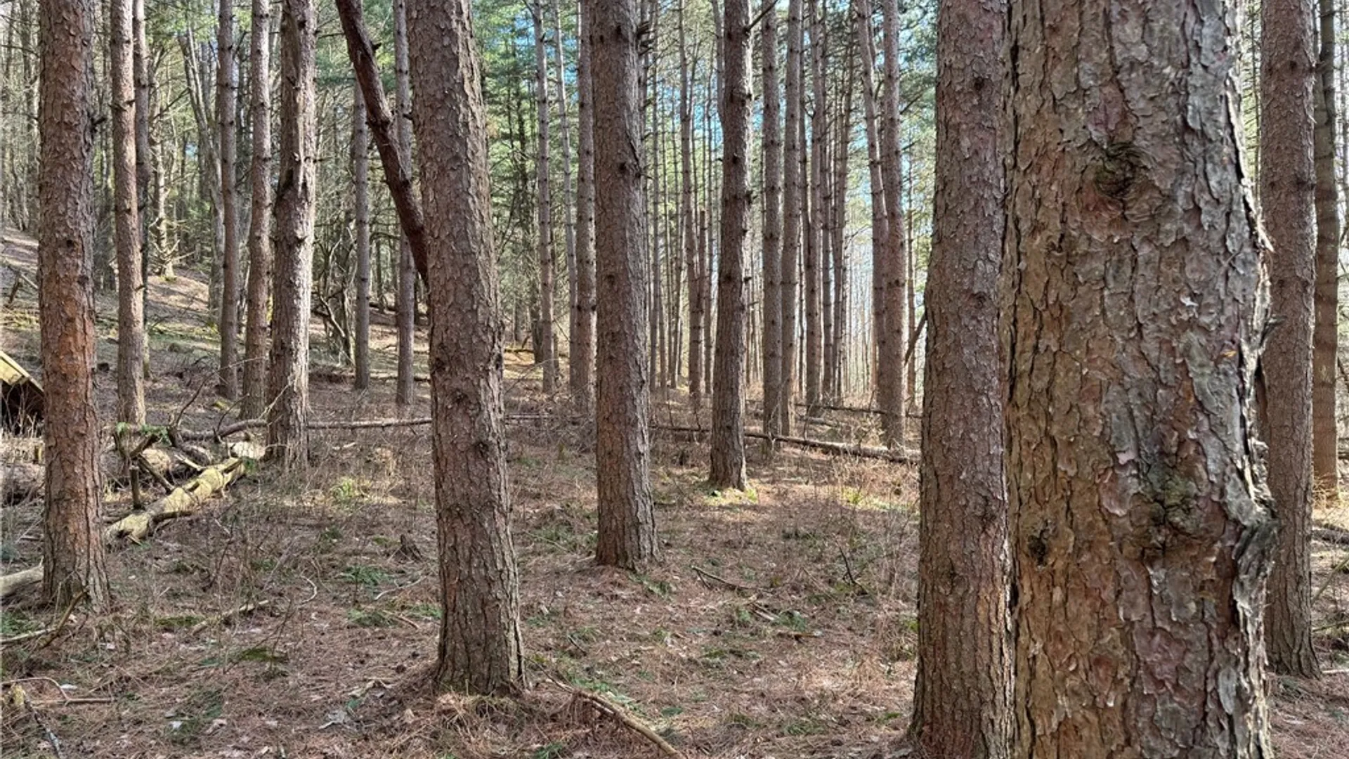 Property at Lot #6.1 County Highway 20, Edmeston, NY 13335 42