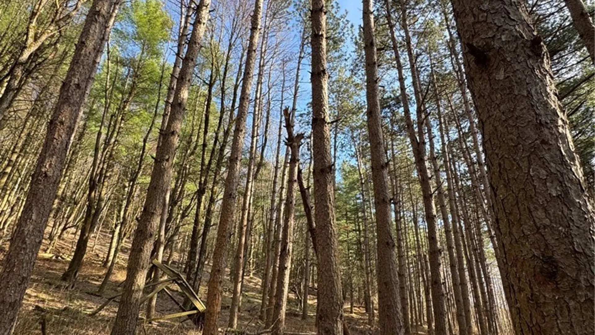 Property at Lot #6.1 County Highway 20, Edmeston, NY 13335 43