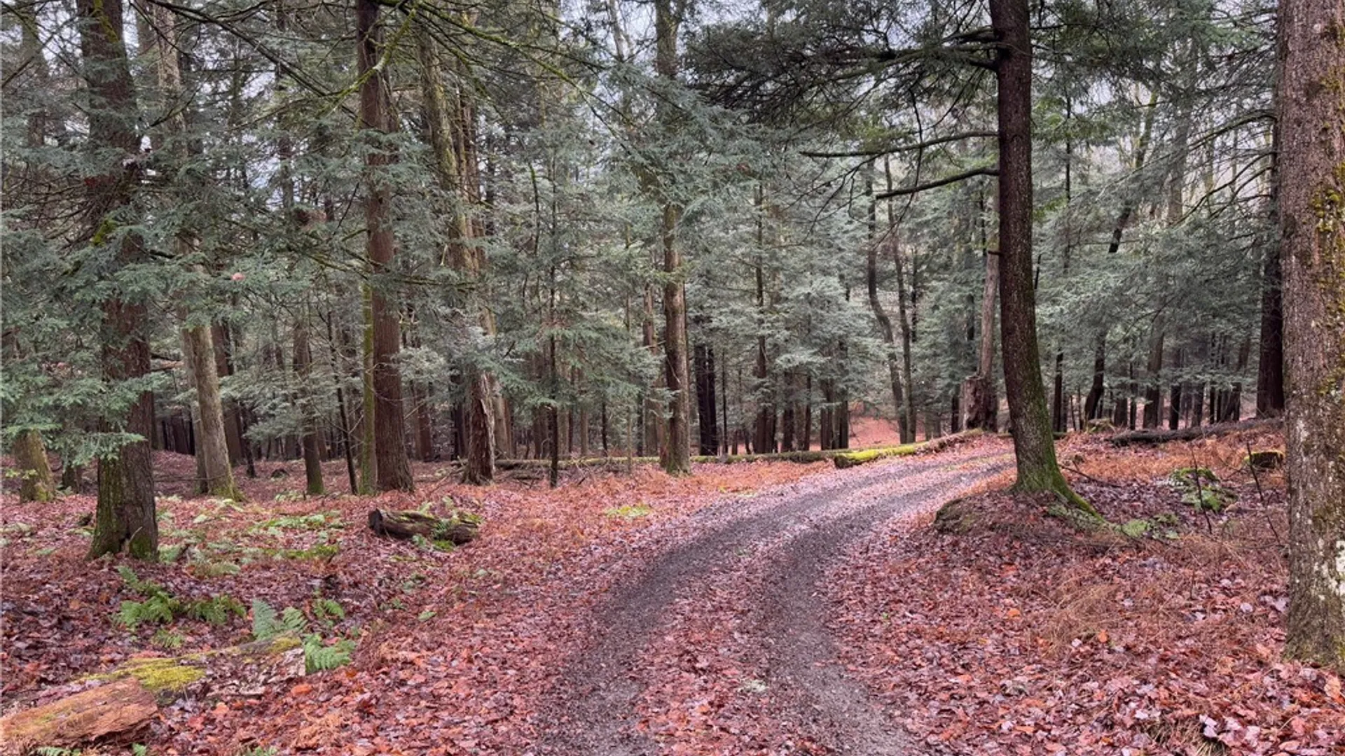 Property at Lot #6.1 County Highway 20, Edmeston, NY 13335 48
