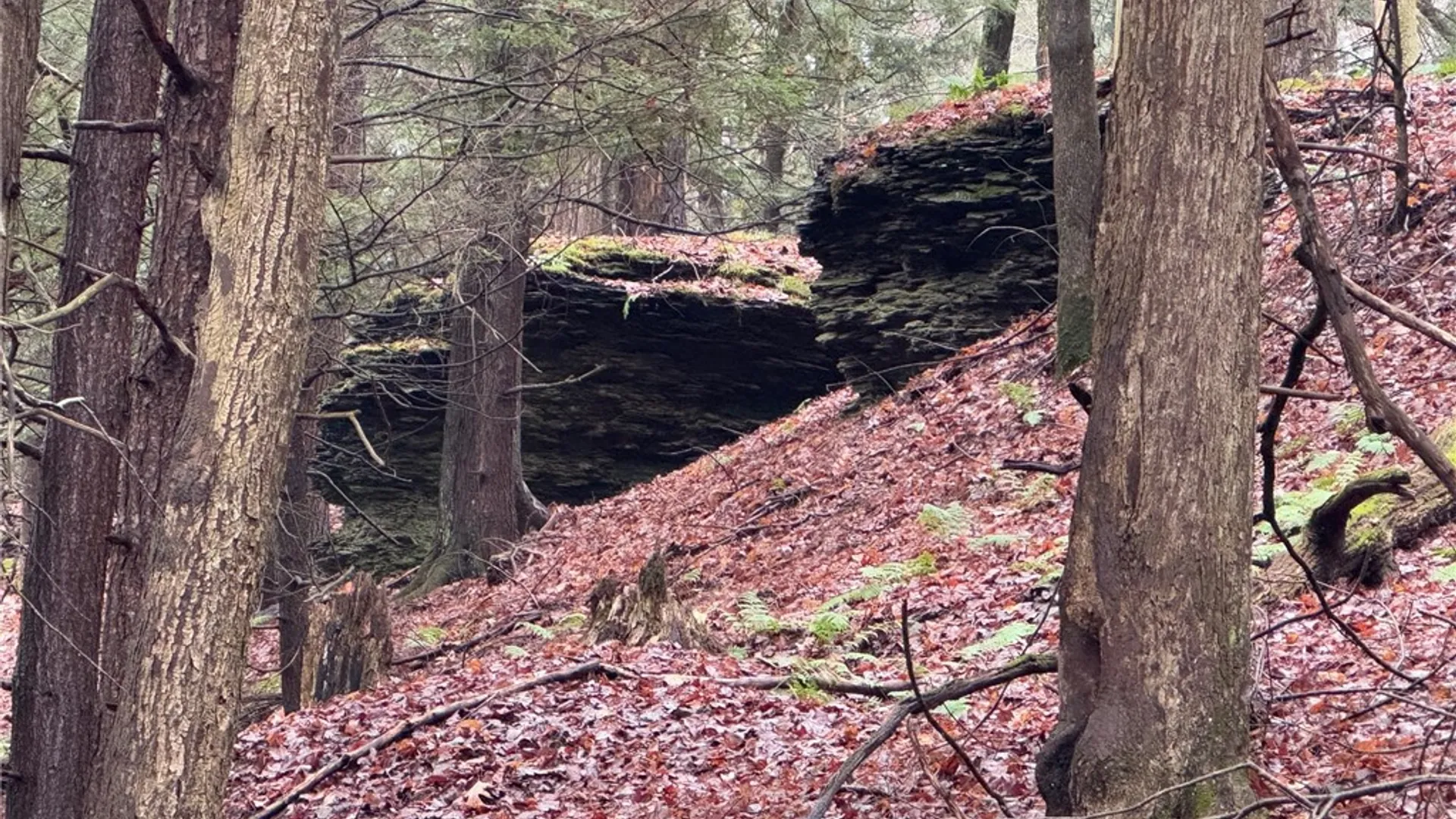 Property at Lot #6.1 County Highway 20, Edmeston, NY 13335 49