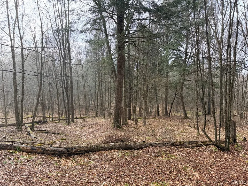 Property at Solitude Forest Drive, German, NY 13136