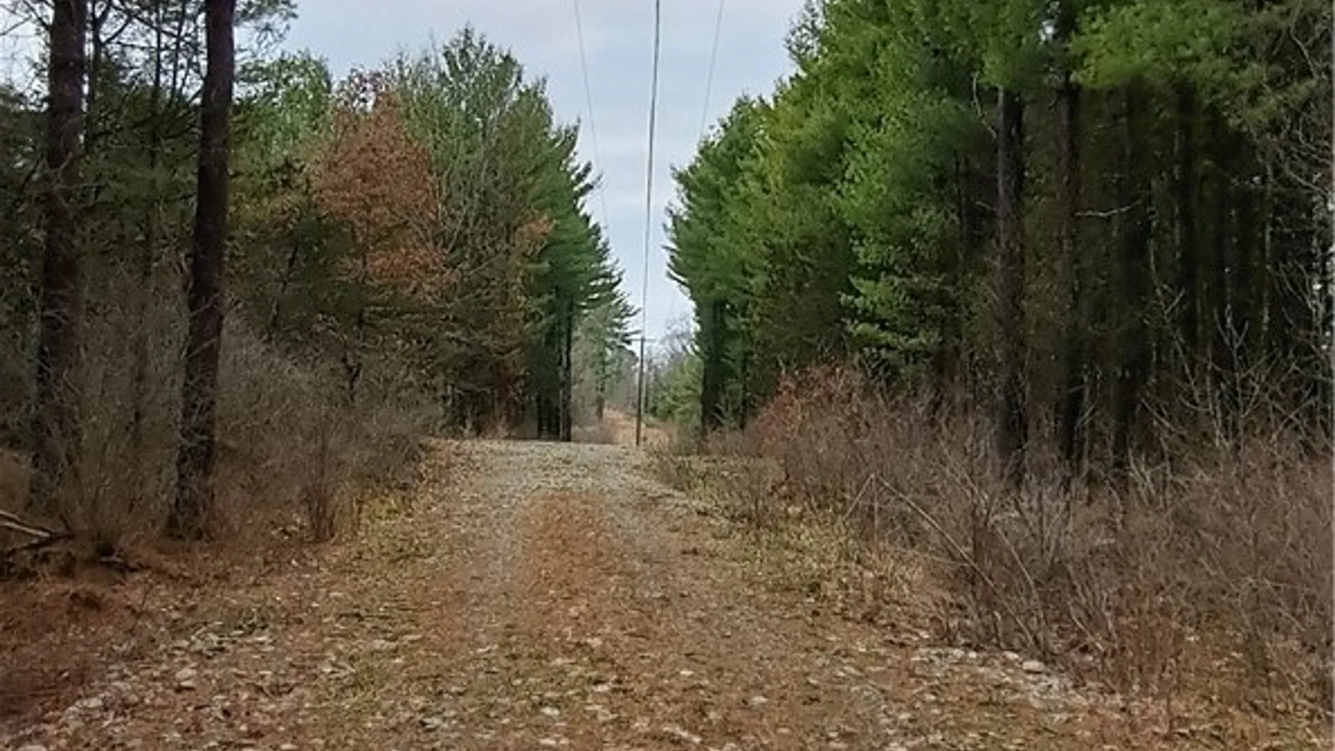 Property at 0 Sweet Point Rd, Alexandria, NY 13607 6