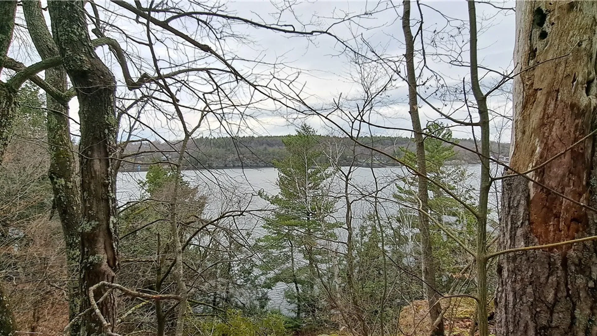 Property at 0 Sweet Point Rd, Alexandria, NY 13607 9