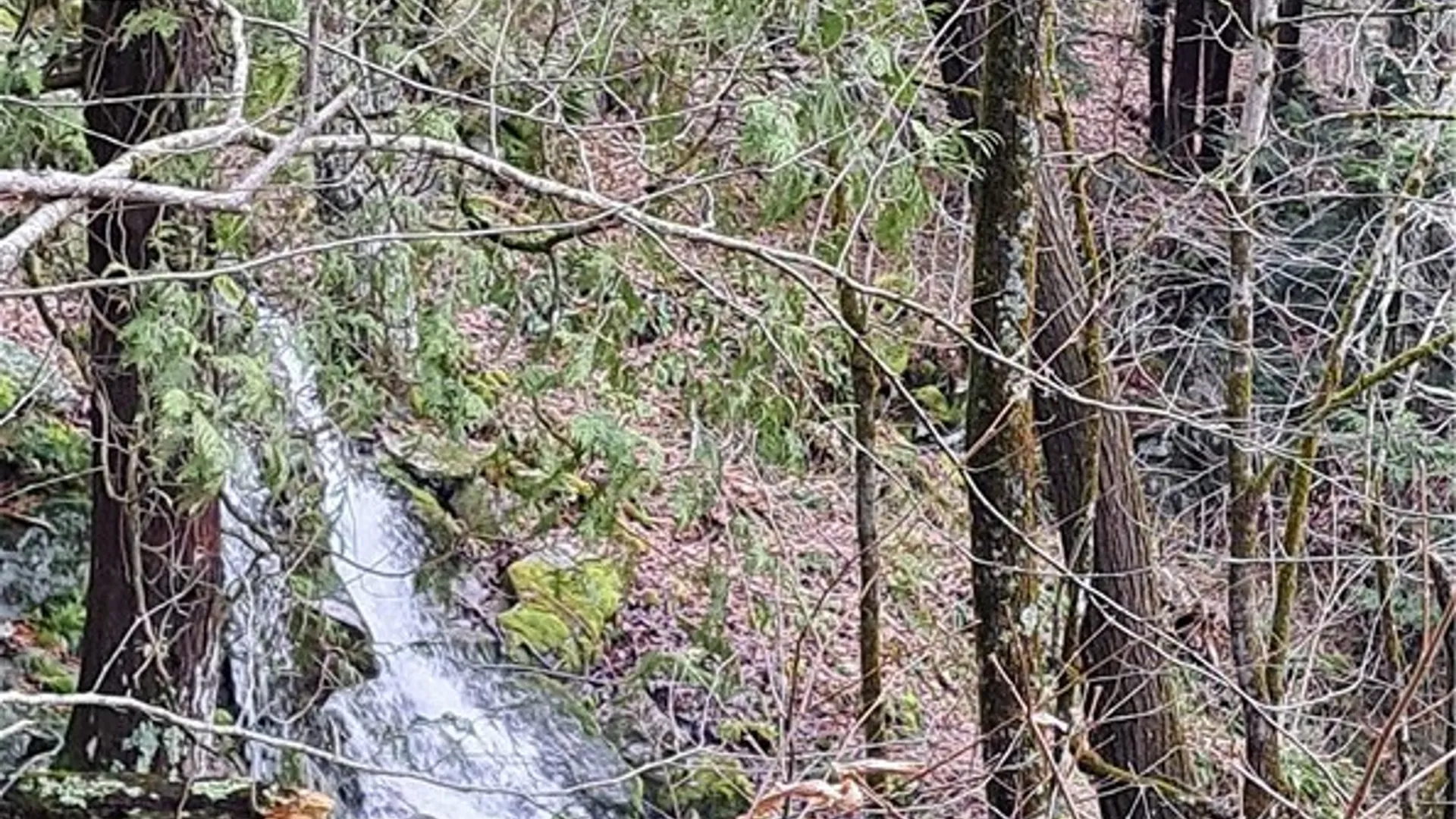 Property at 0 Sweet Point Rd, Alexandria, NY 13607 8