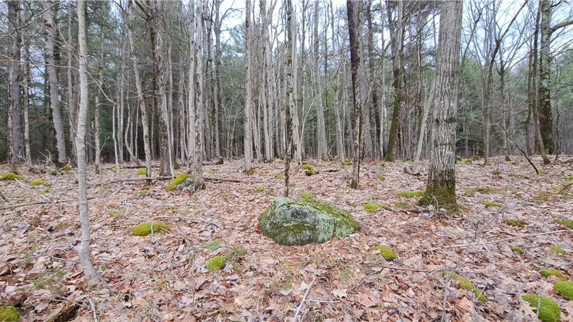 Property at 0 Sweet Point Rd, Alexandria, NY 13607 7