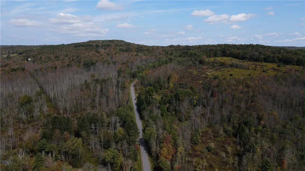 Property at Lot 11 Sisson Hill Road, Unadilla, NY 13849