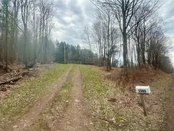 Property at 1980 Swart Hollow Road, Davenport, NY 13750