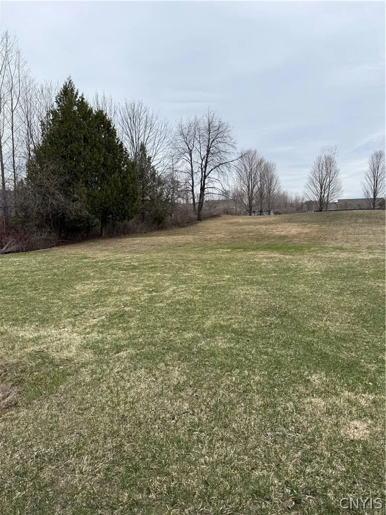 Property at Cole Road, Champion, NY 13619