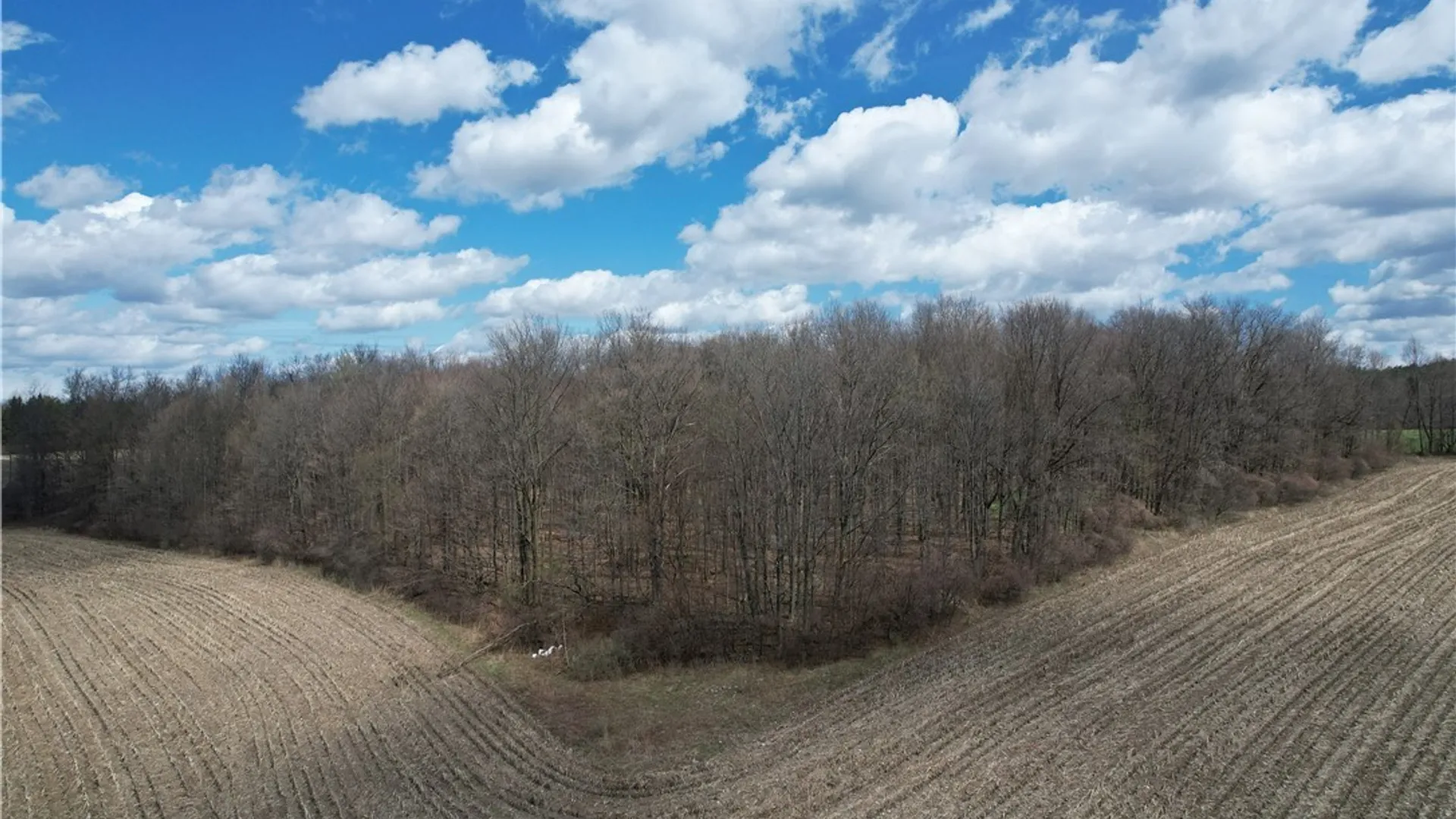 Property at Gregg Lane, Cazenovia, NY 13035 7