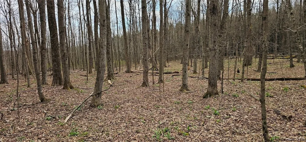 Property at Level Green Road, Caroline, NY 13736