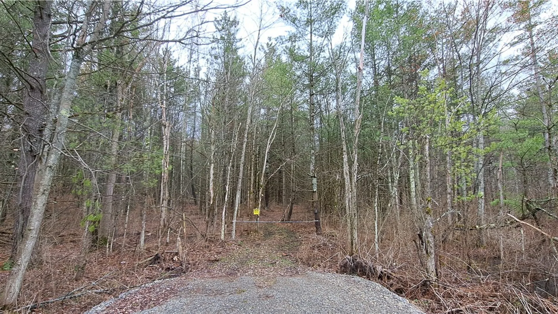 Property at 0 Lead Mine Rd, Rossie, NY 13679 4