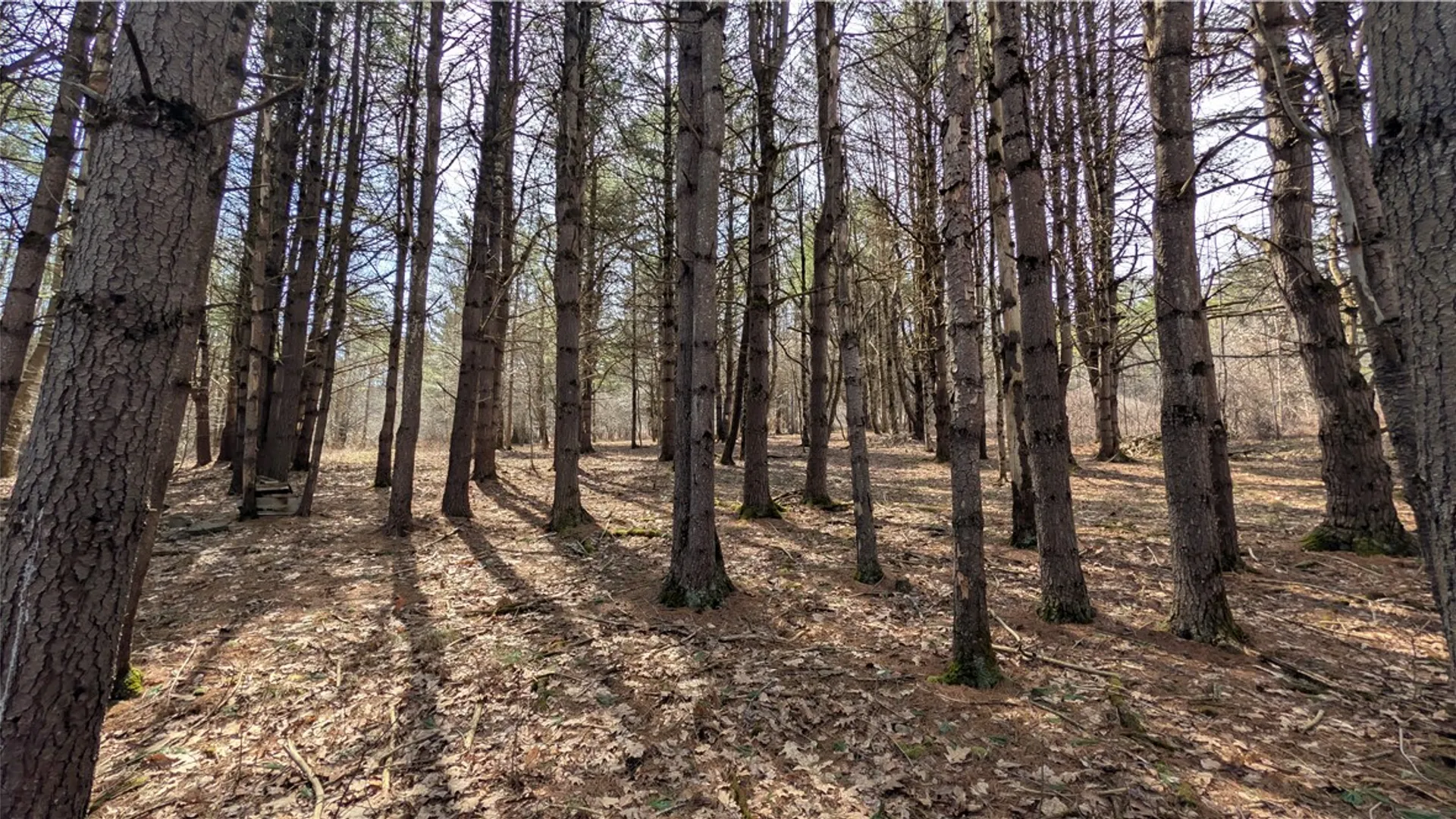 Property at 300 Tara Lane, Franklin, NY 13775 39