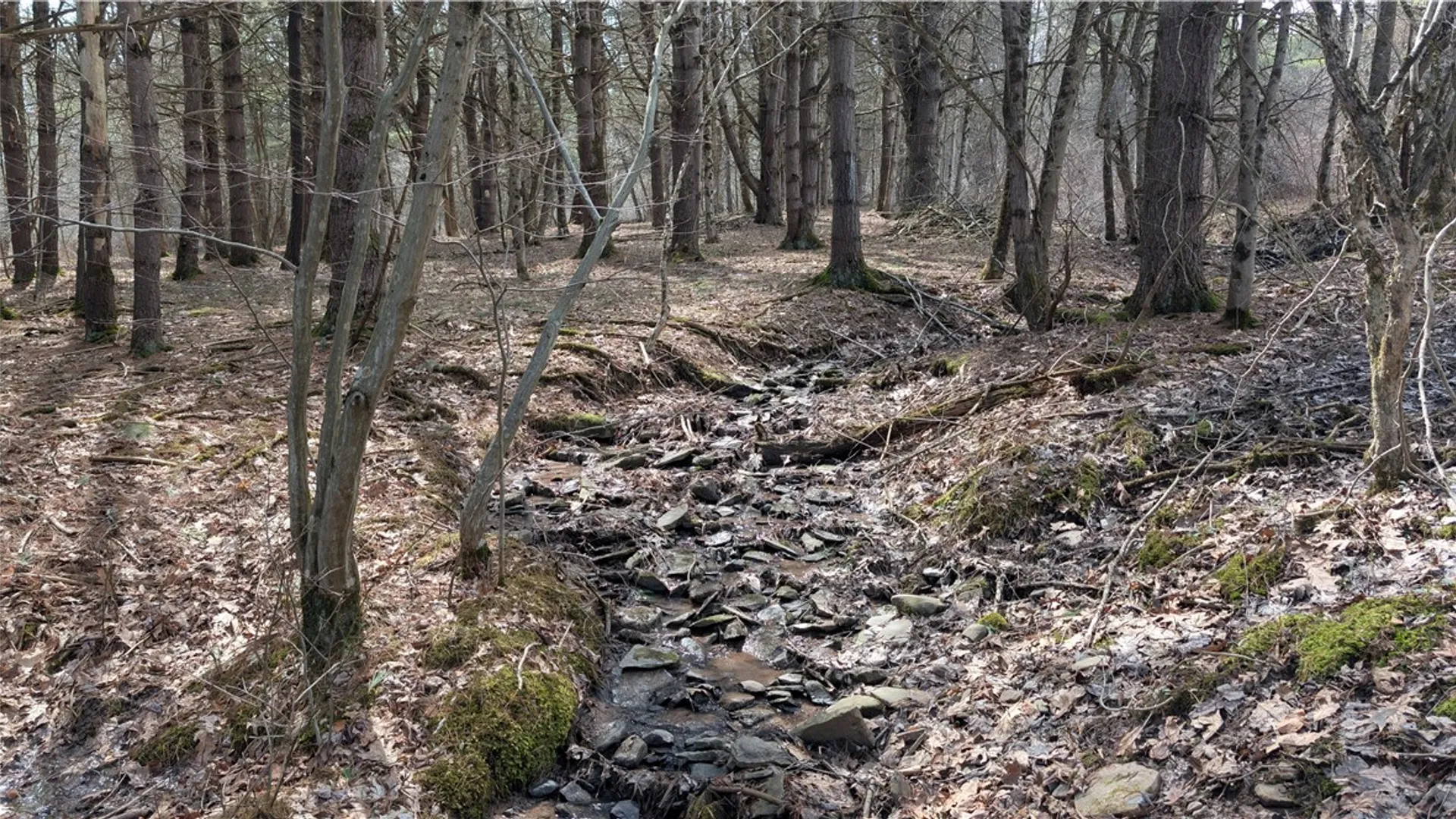 Property at 300 Tara Lane, Franklin, NY 13775 40