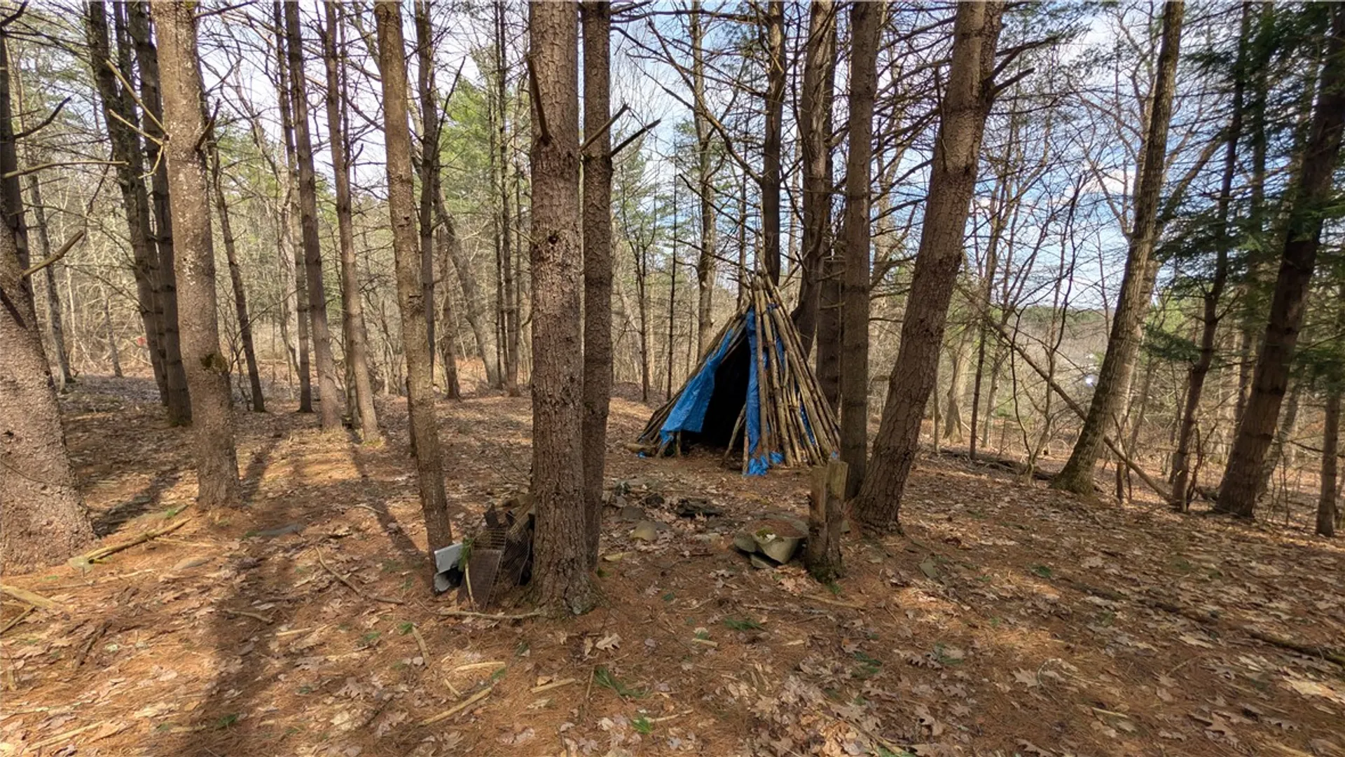Property at 300 Tara Lane, Franklin, NY 13775 41