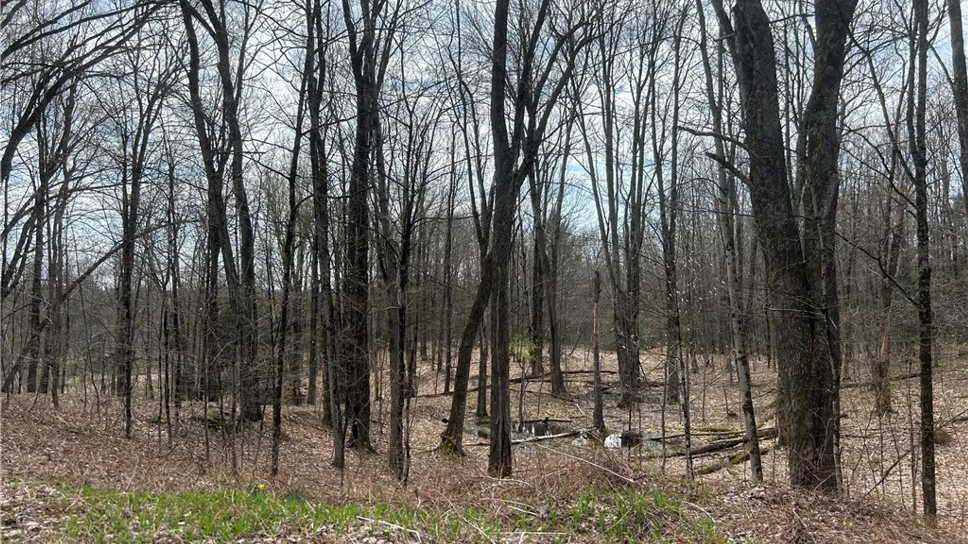 Property at N Hillsborough Road, Amboy, NY 13316 3